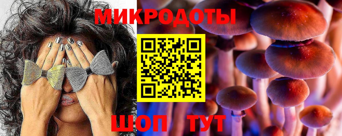 Домодедово  Галлюциногенные грибы Cubensis  Вход с VPN 